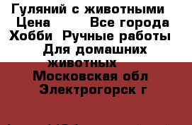 Гуляний с животными › Цена ­ 70 - Все города Хобби. Ручные работы » Для домашних животных   . Московская обл.,Электрогорск г.